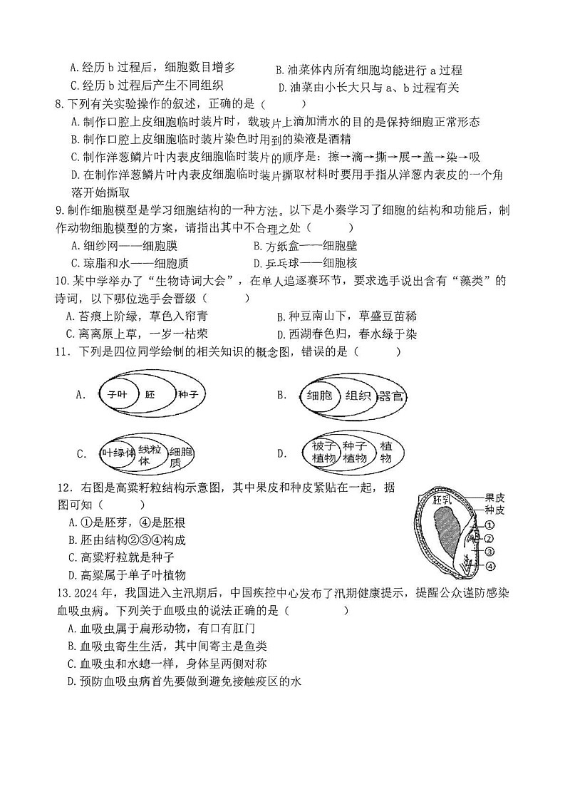 江西省赣州市兴国县2024-2025学年七年级上学期1月期末生物试题第2页