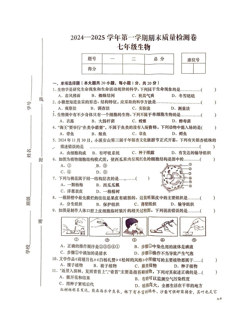 江西省赣州市于都县2024-2025学年七年级上学期1月期末生物试题第1页