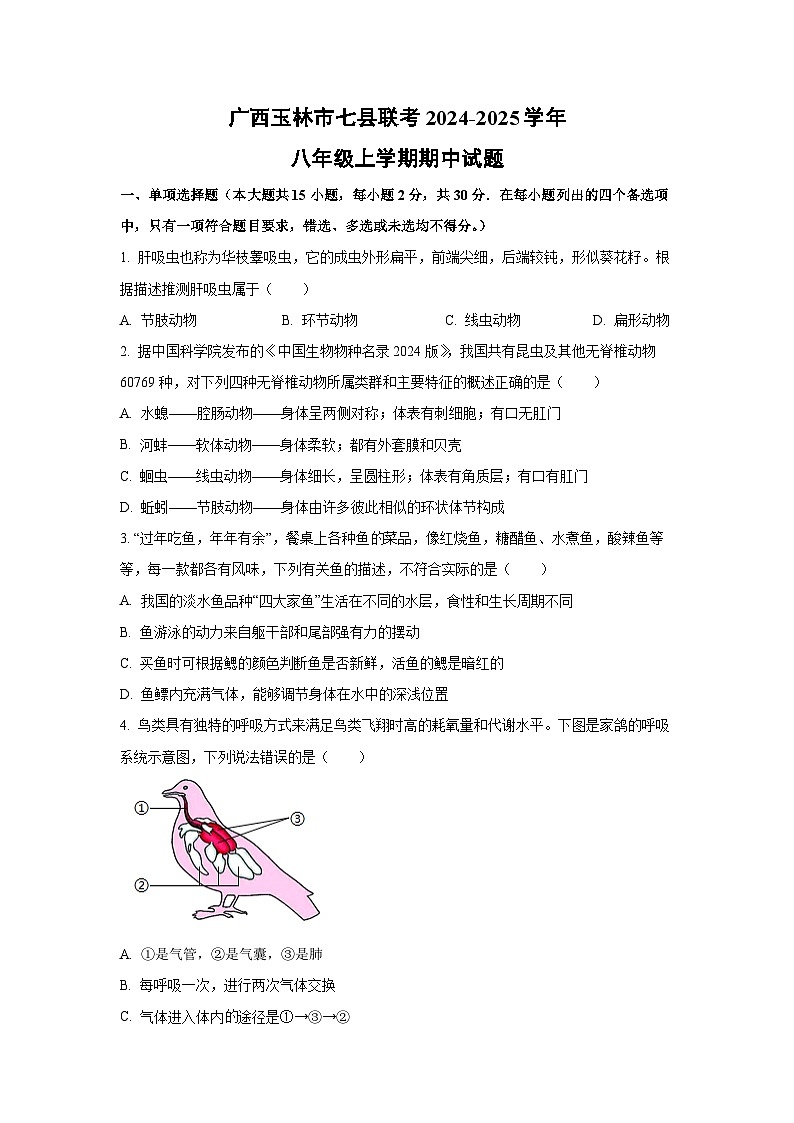 2024-2025学年广西玉林市七县联考八年级上学期期中生物试题（学生版）第1页