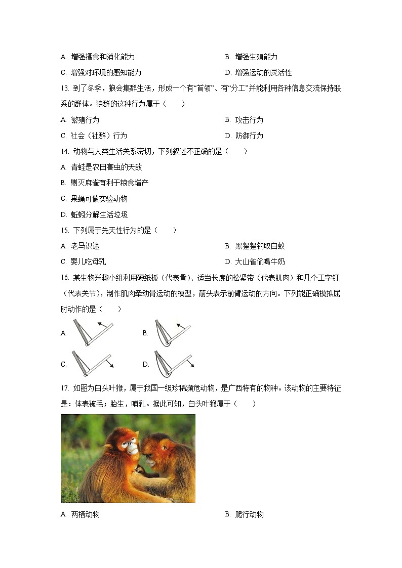 2024--2025学年广西桂林市永福县八年级上学期期中生物试题（学生版）第3页