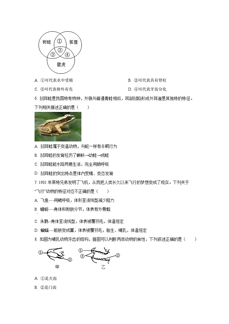 2024-2025学年广西桂林市龙胜县八年级上学期期中生物试题（学生版）第2页