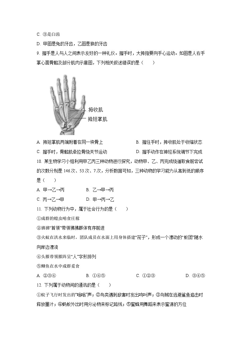 2024-2025学年广西桂林市龙胜县八年级上学期期中生物试题（学生版）第3页