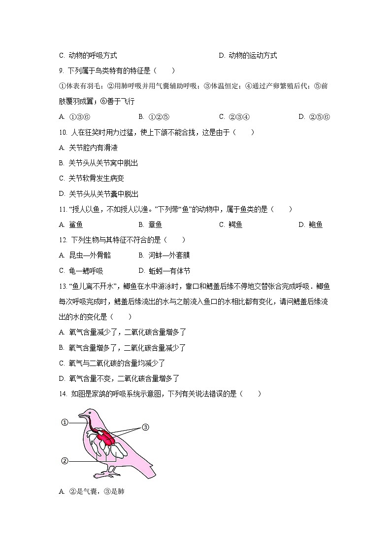 2024-2025学年广东省江门市恩平市八年级上学期期中生物试题（学生版）第2页