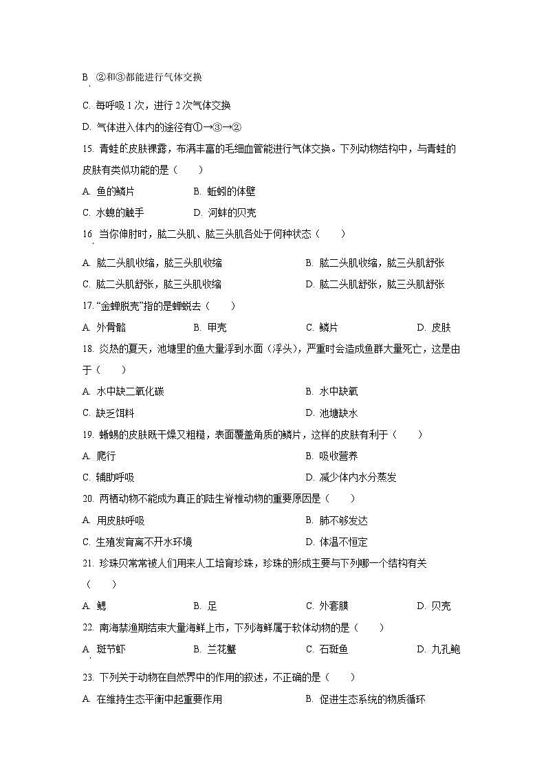 2024-2025学年广东省江门市恩平市八年级上学期期中生物试题（学生版）第3页