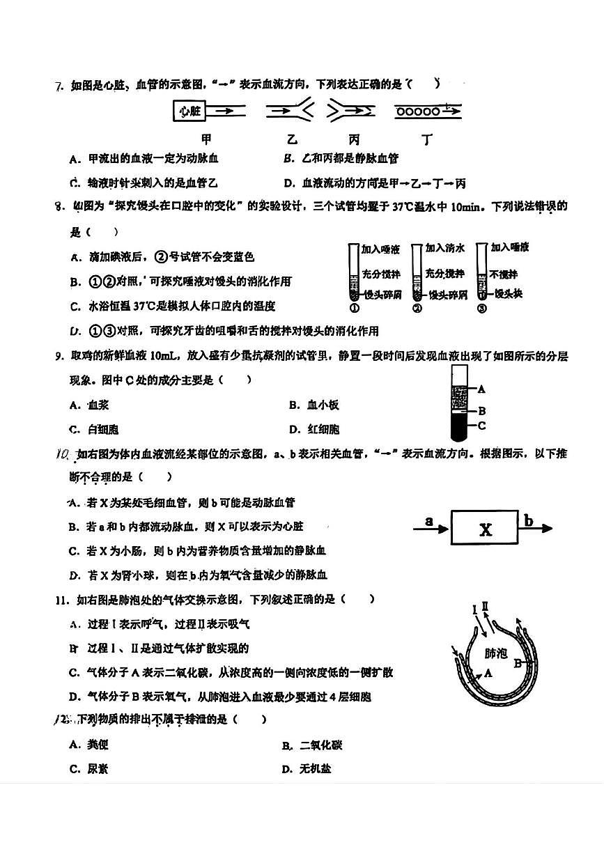 辽宁省鞍山市高新区2025-2026学年八年级上学期期中生物试题第2页