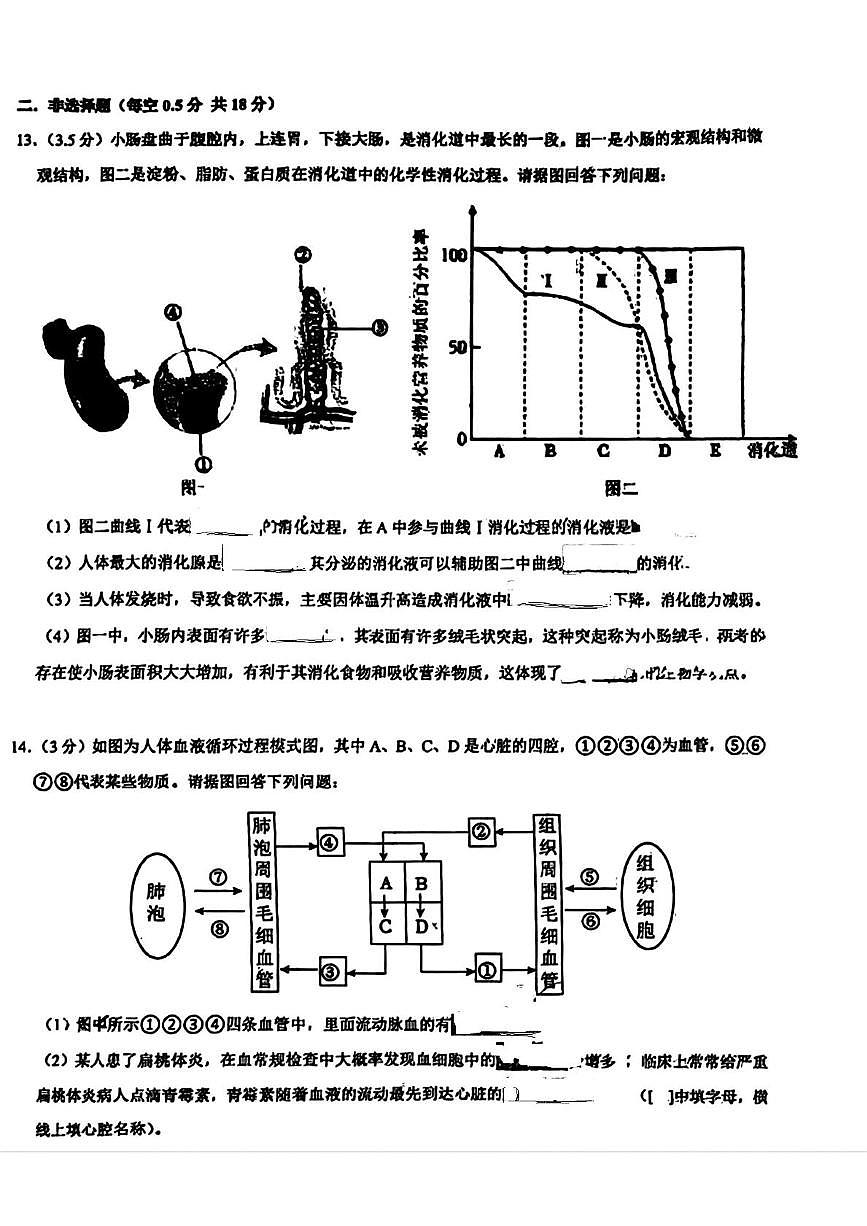 辽宁省鞍山市高新区2025-2026学年八年级上学期期中生物试题第3页