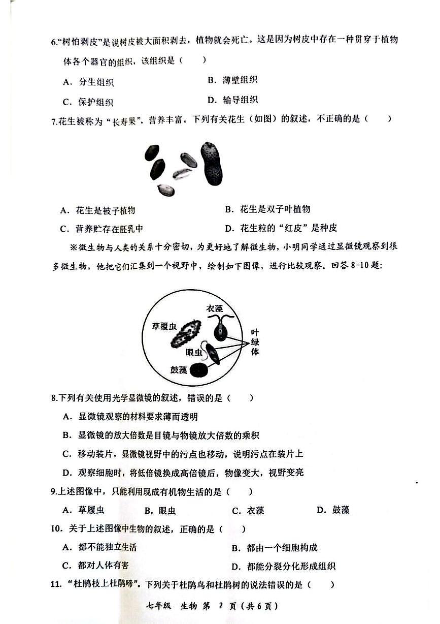 湖北省安陆市2025-2026学年七年级上学期期中生物试卷第2页