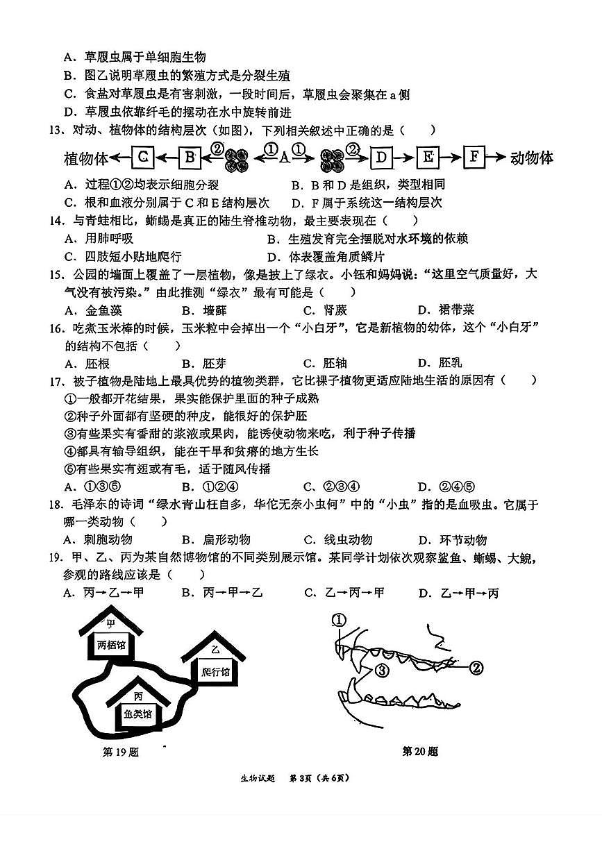 吉林省长春市吉林大学附属中学2025-2026学年七年级上学期期中生物考试卷第3页