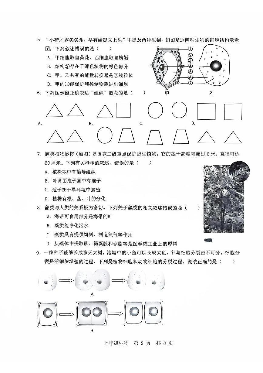 山东省济宁市泗水县2025--2026学年七年级上学期期中生物试题第2页