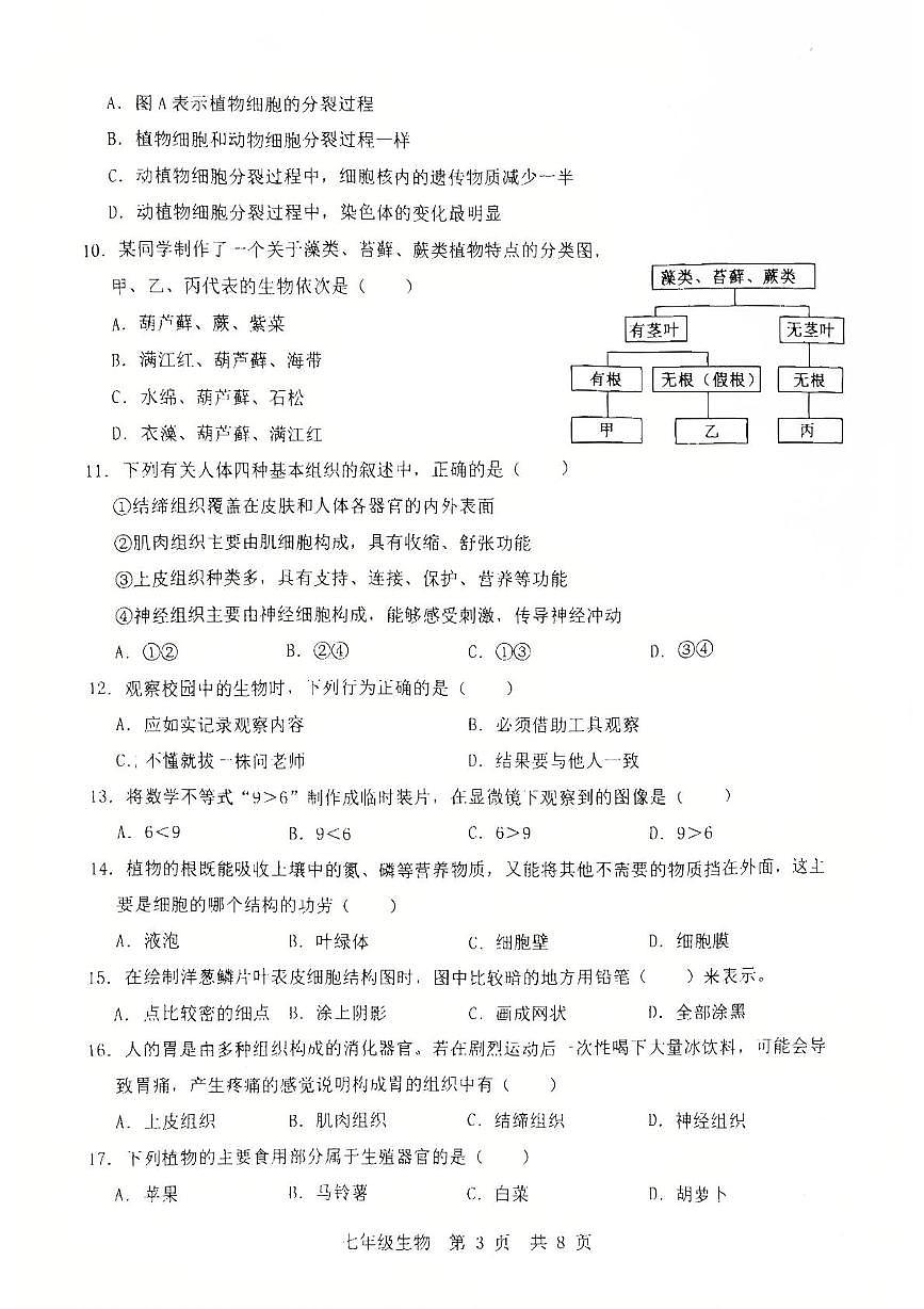 山东省济宁市泗水县2025--2026学年七年级上学期期中生物试题第3页
