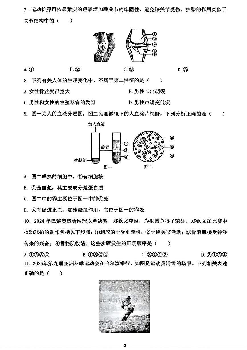 辽宁省沈阳市第四十三中学2025-2026学年八年级上学期11月月考生物试题第2页