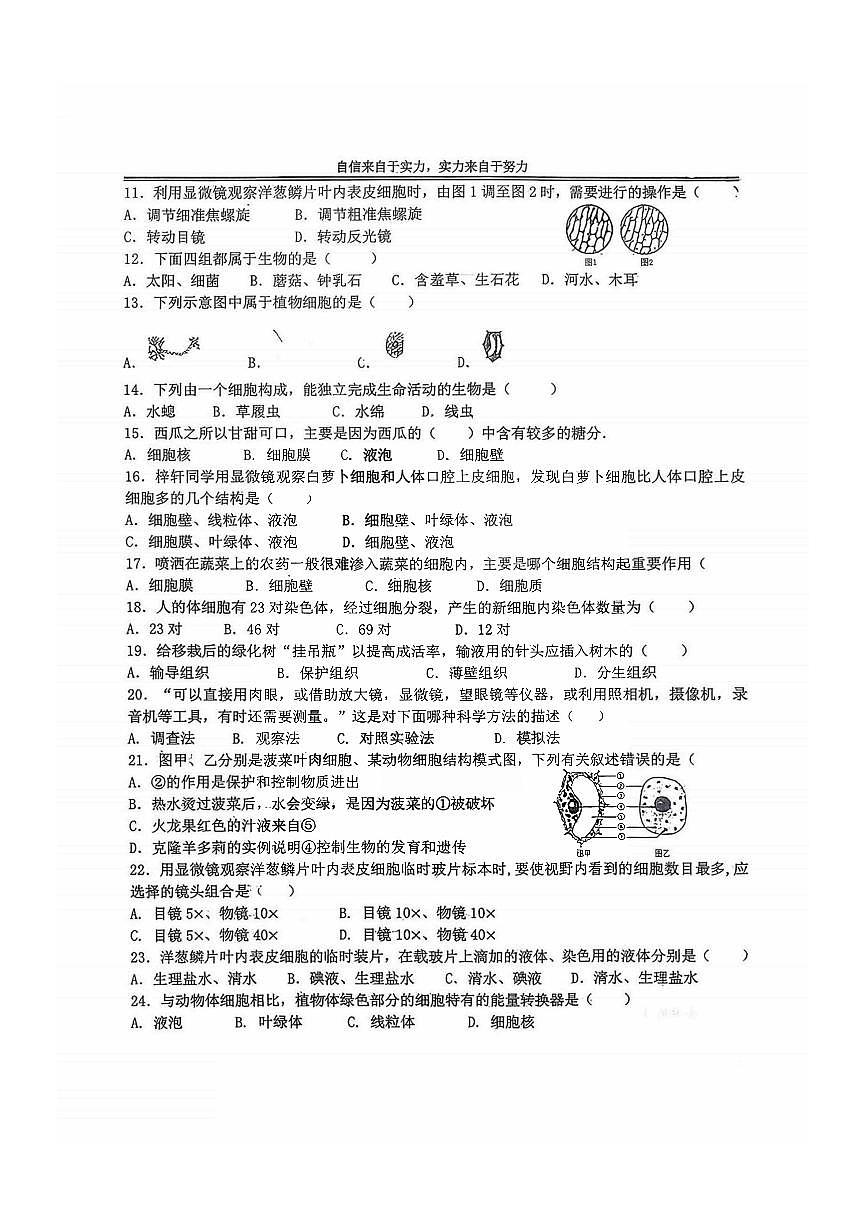 2025年哈尔滨市萧红中学七年级（上）期中生物试题及答案第2页
