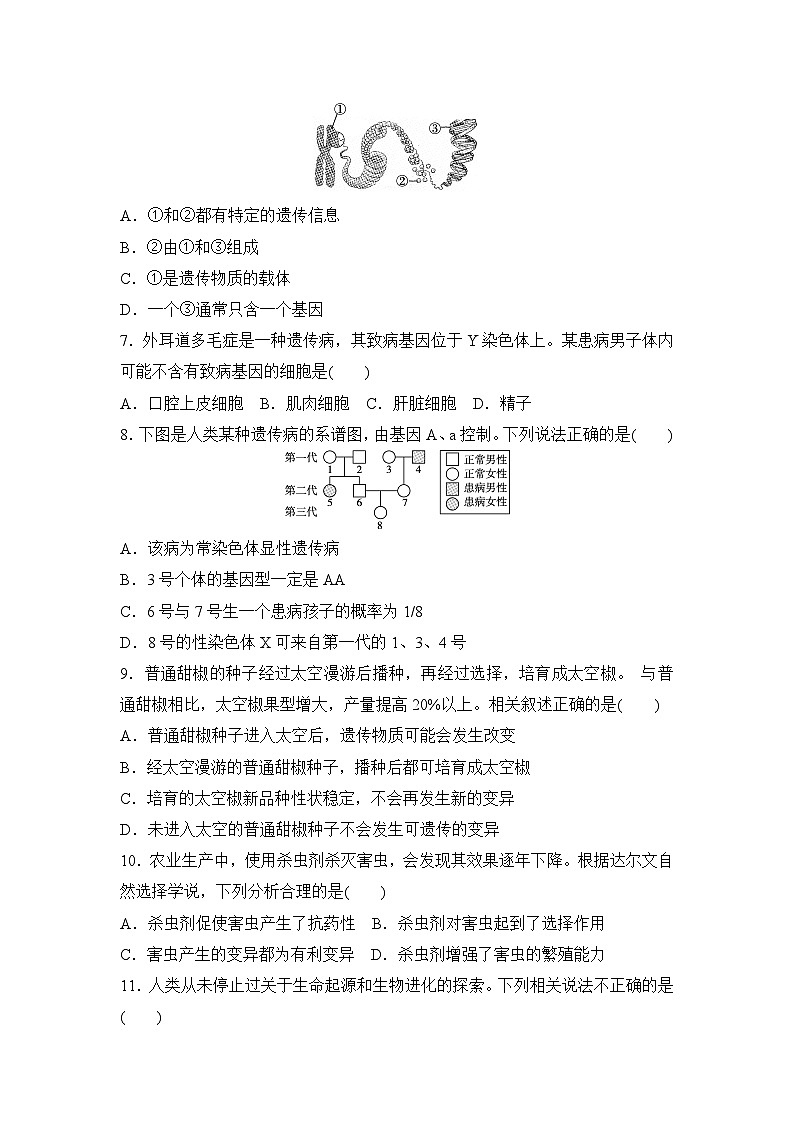 2026年春冀少版八年级生物下册 期末学情评估卷(含答案)第2页