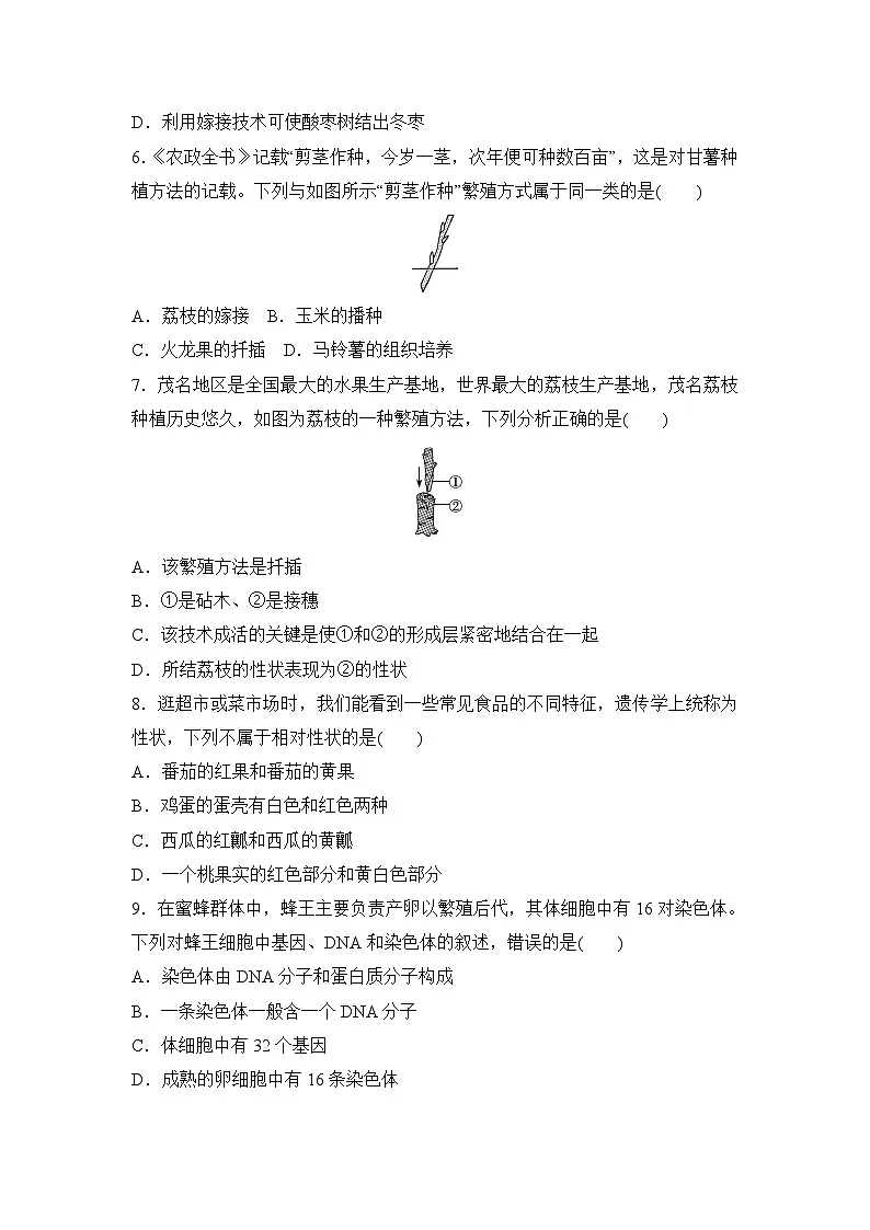 2026年春冀少版八年级生物下册 期中学情评估卷(含答案)第2页