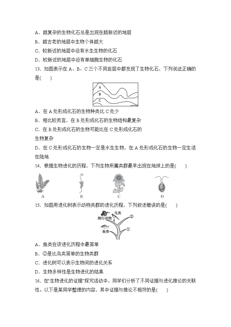 2026年春冀少版八年级生物下册 第六单元第三章 生命的起源与生物的进化 学情评估卷(含答案)第3页