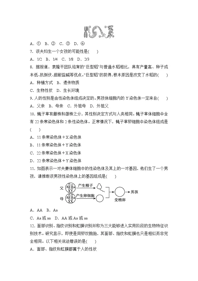 2026年春人教版八年级生物下册 第六单元第二章 生物的遗传与变异 学情评估卷(含答案)第2页