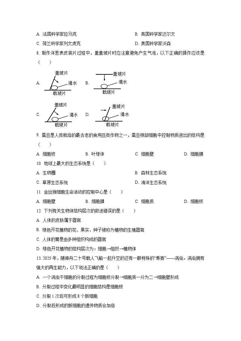 广东省惠州市大亚湾2025-2026学年七年级上学期期中生物试卷（学生版）第2页