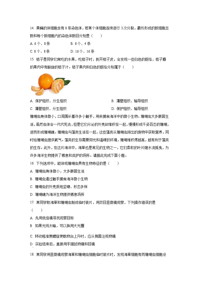 广东省惠州市大亚湾2025-2026学年七年级上学期期中生物试卷（学生版）第3页