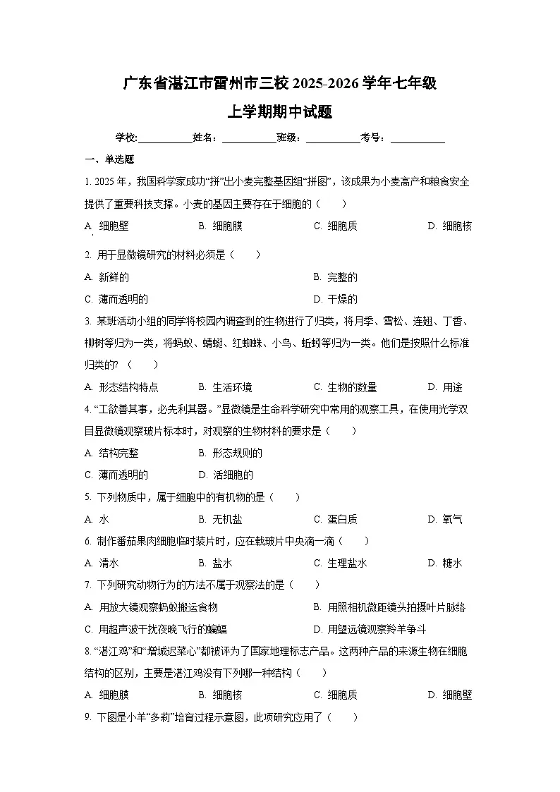 广东省湛江市雷州市三校2025-2026学年七年级上学期期中生物试卷（学生版）第1页
