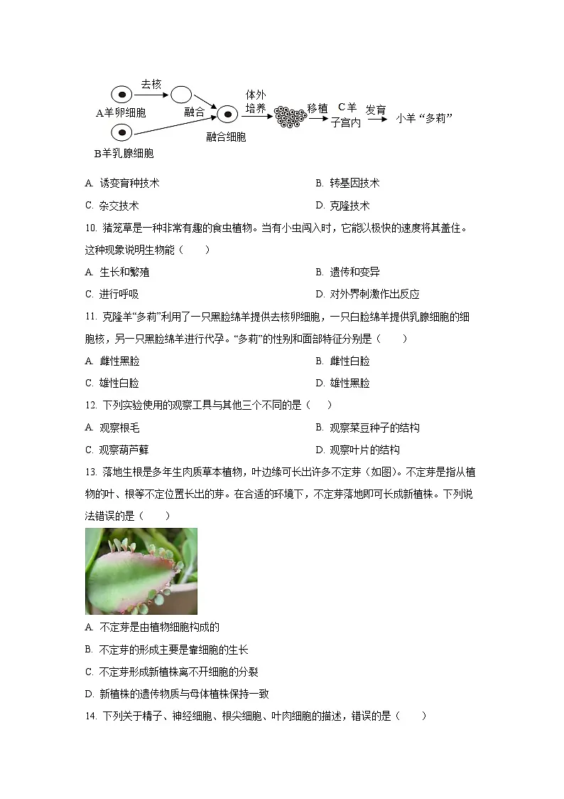 广东省湛江市雷州市三校2025-2026学年七年级上学期期中生物试卷（学生版）第2页