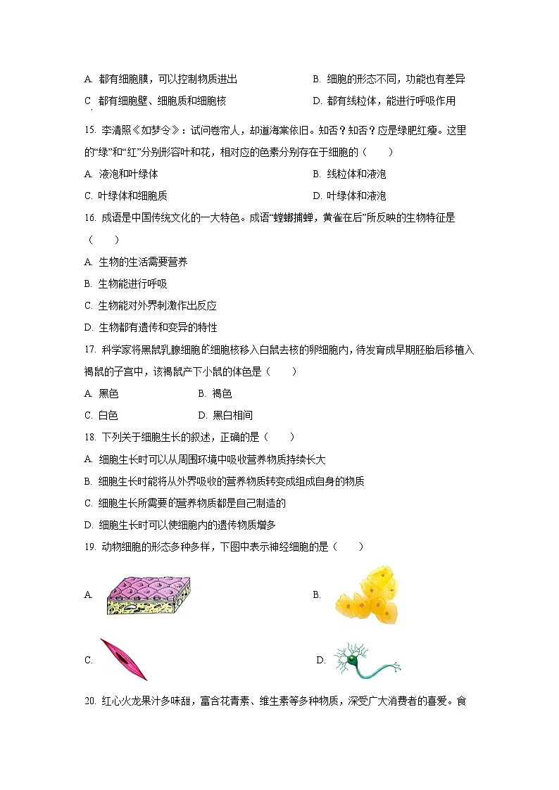 广东省湛江市雷州市三校2025-2026学年七年级上学期期中生物试卷（学生版）第3页