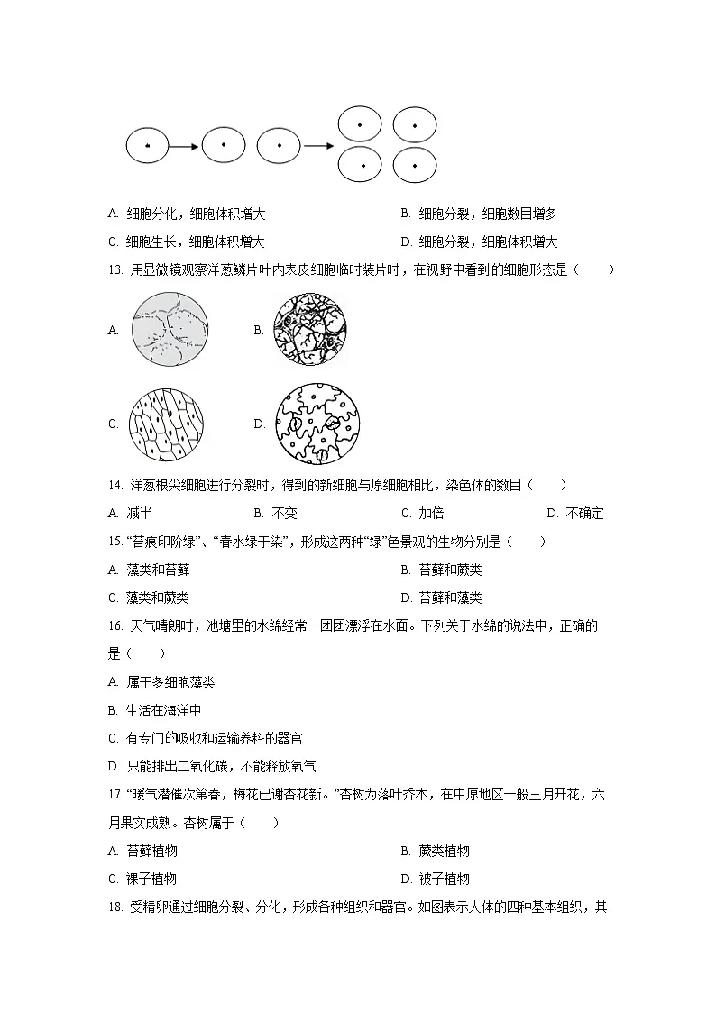 天津市部分区2025-2026学年七年级上学期期中生物试卷（学生版）第3页