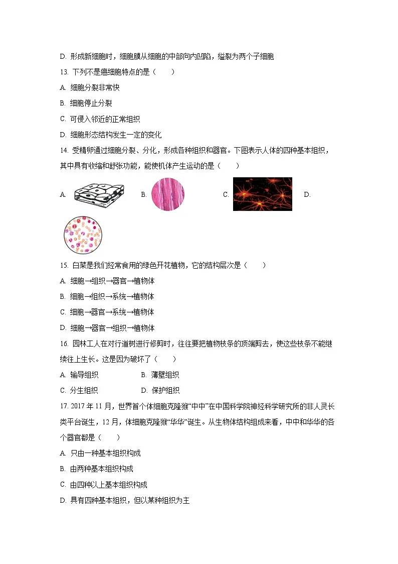天津市河北区2024-2025学年七年级上学期期中生物试卷（学生版）第3页