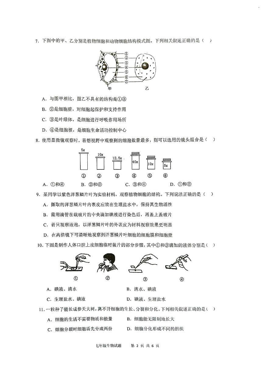 重庆市彭水县思源实验学校2025-2026学年七年级上学期期中考试生物试题第2页