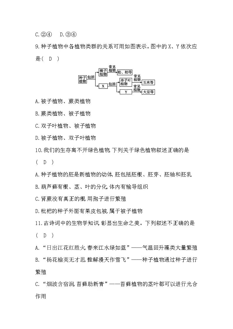 期中综合评价卷答案第3页