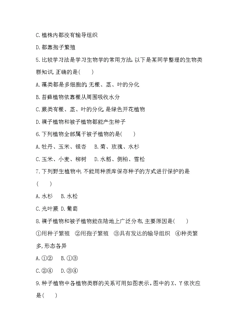 期中综合评价卷第2页