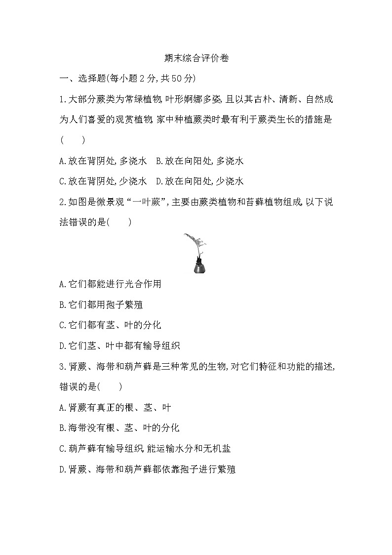 期末综合评价卷第1页