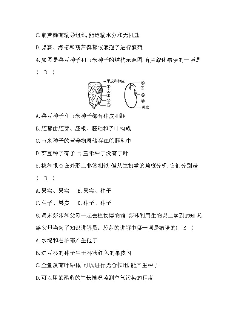 期末综合评价卷答案第2页
