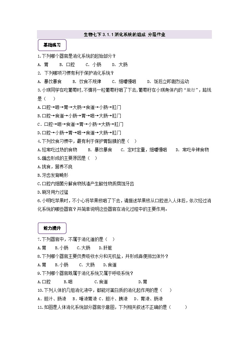 【核心素养】冀少版初中生物七下 3.1.1消化系统的组成 分层作业（含答案）第1页