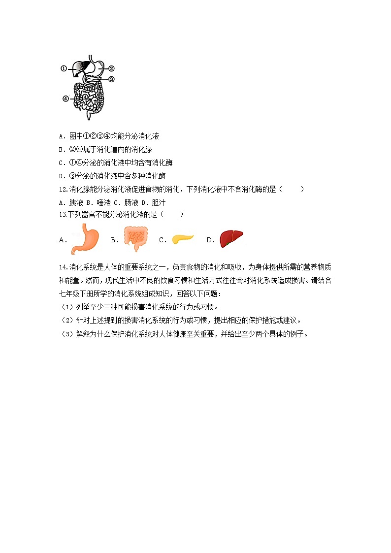 【核心素养】冀少版初中生物七下 3.1.1消化系统的组成 分层作业（含答案）第2页
