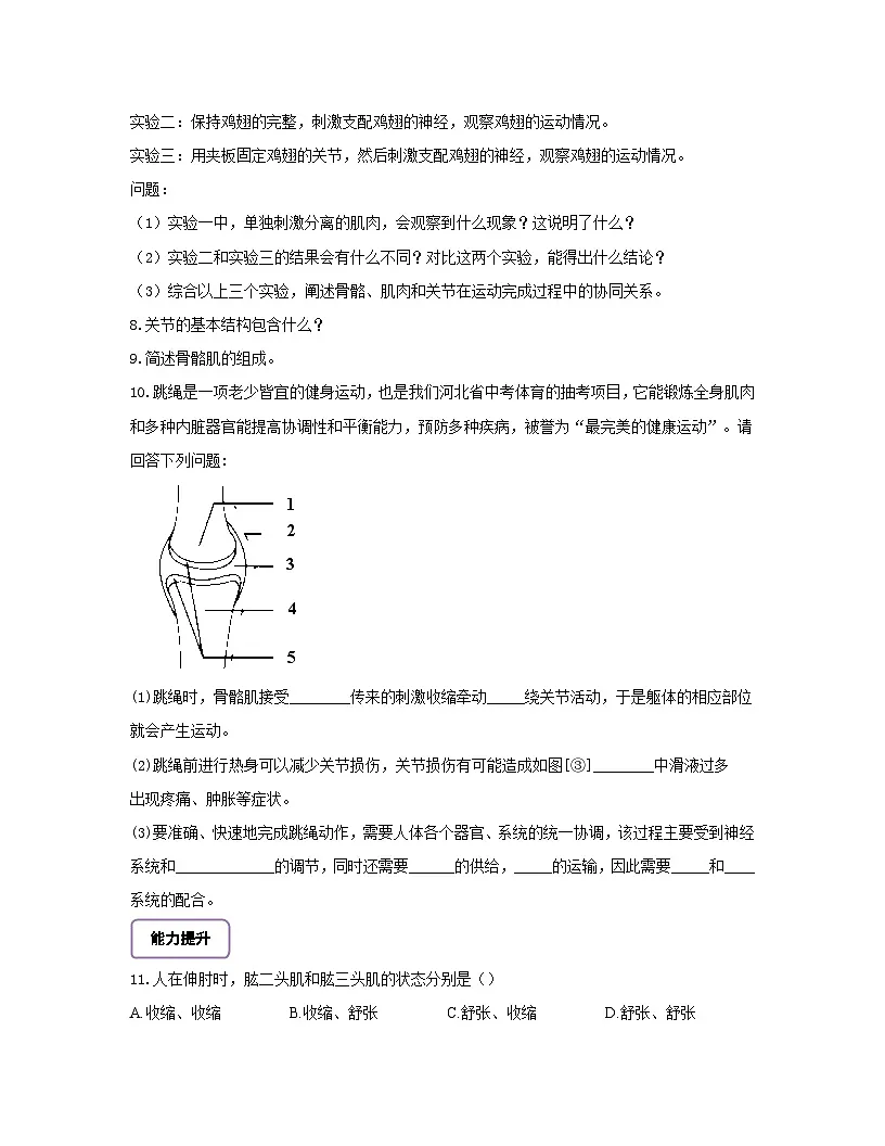 【核心素养】冀少版初中生物七下3.5.4运动的完成 分层作业（含答案）第2页