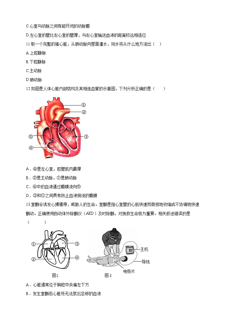 【核心素养】冀少版初中生物七下 3.2.1.3 心脏 分层作业（含答案）第2页