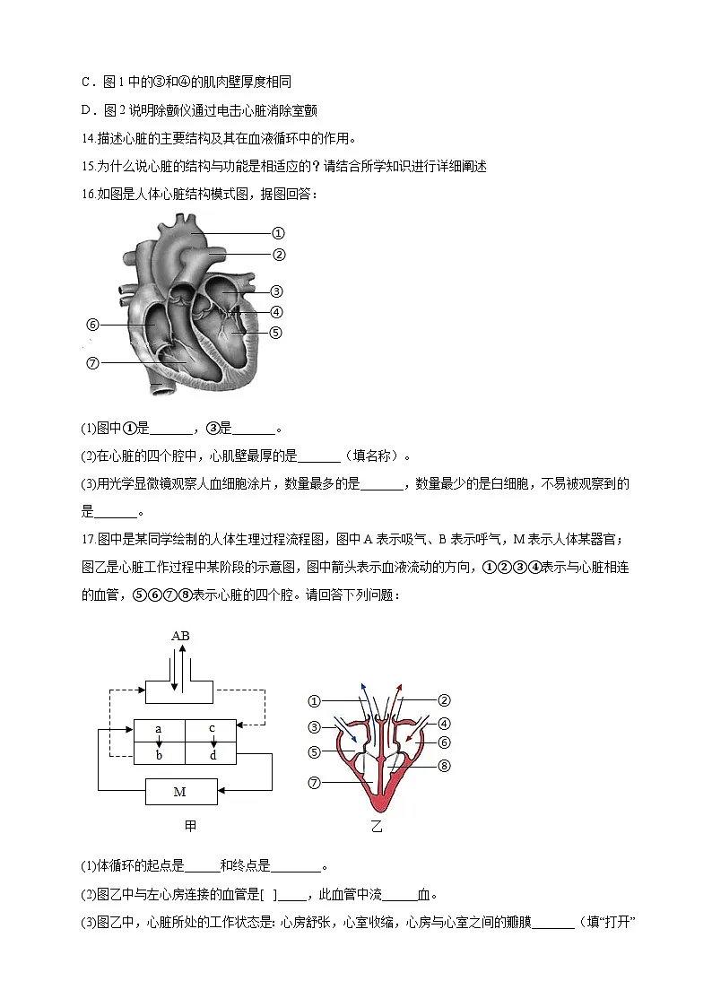【核心素养】冀少版初中生物七下 3.2.1.3 心脏 分层作业（含答案）第3页