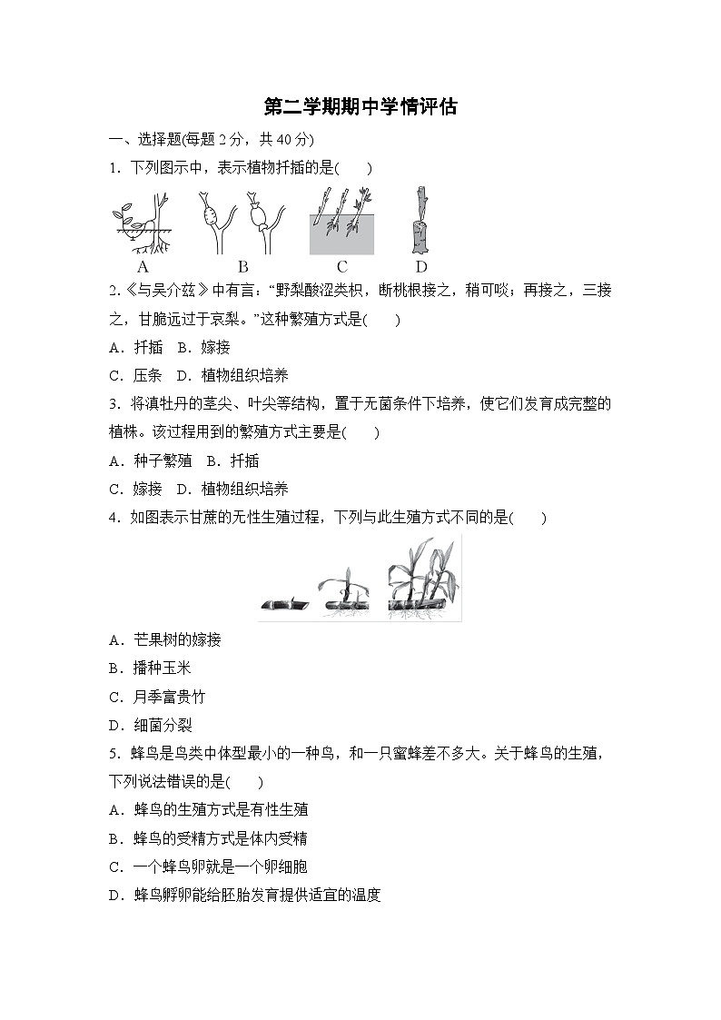 第二学期期中学情评估试卷（含答案）2025-2026学年人教版生物八年级下册第1页