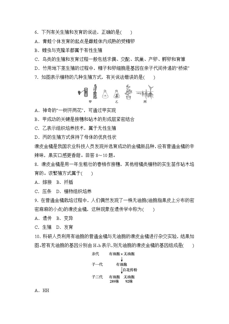 第二学期期中学情评估试卷（含答案）2025-2026学年人教版生物八年级下册第2页