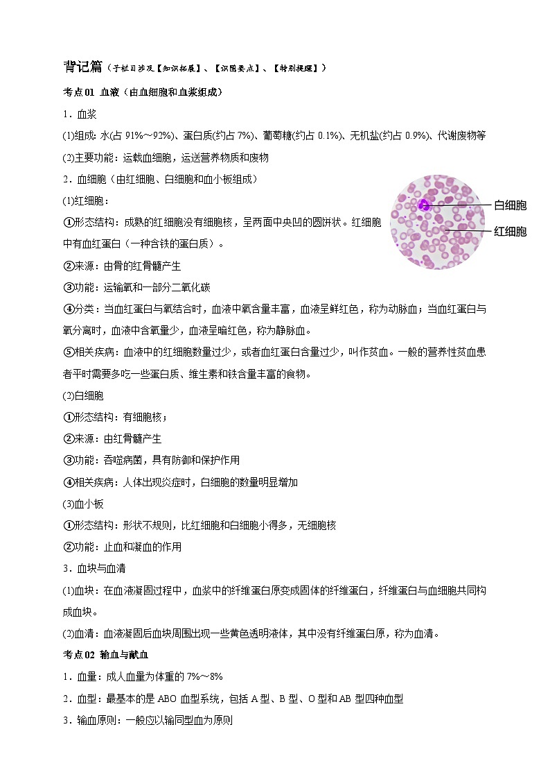 4.7人体的物质运输 知识清单--北师大版初中生物七下（含答案）第3页