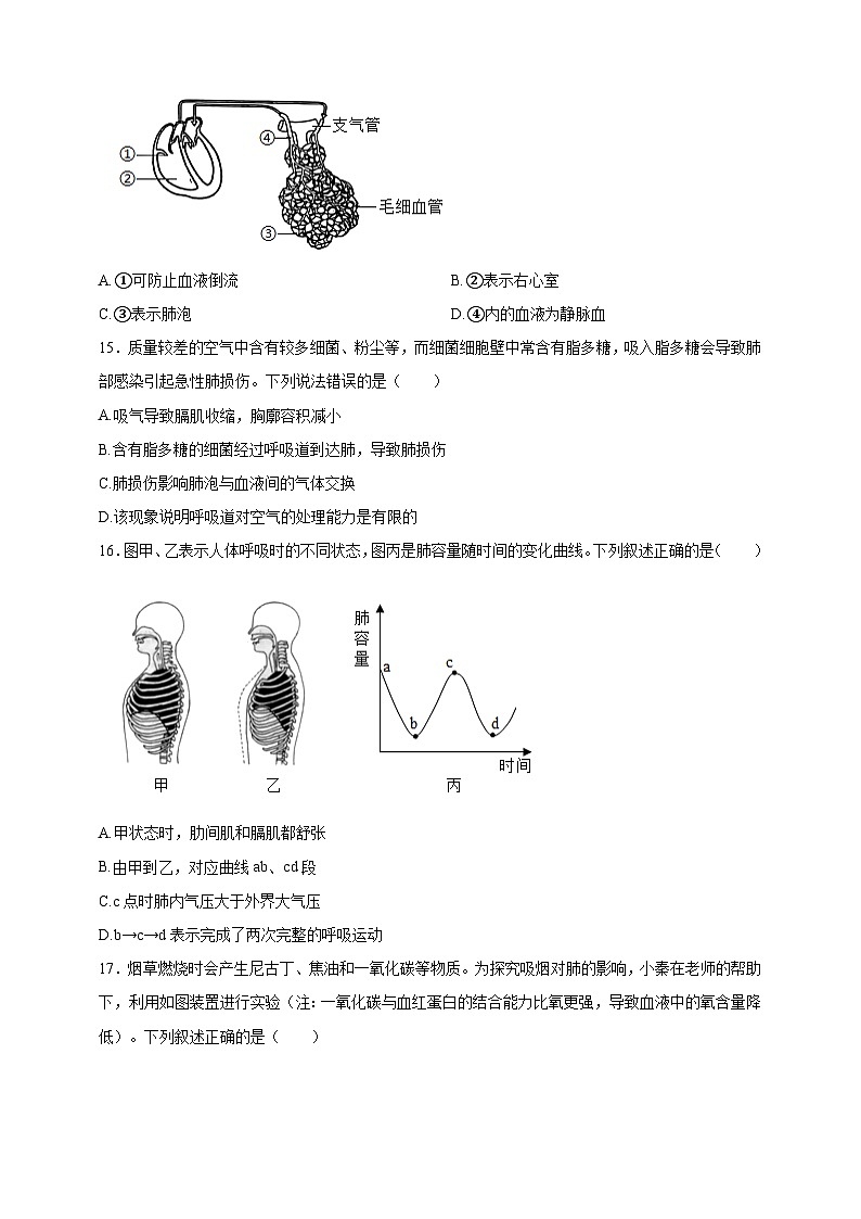 【学霸题优】4.8人体的能量供应 单元检测卷（学生版）第3页