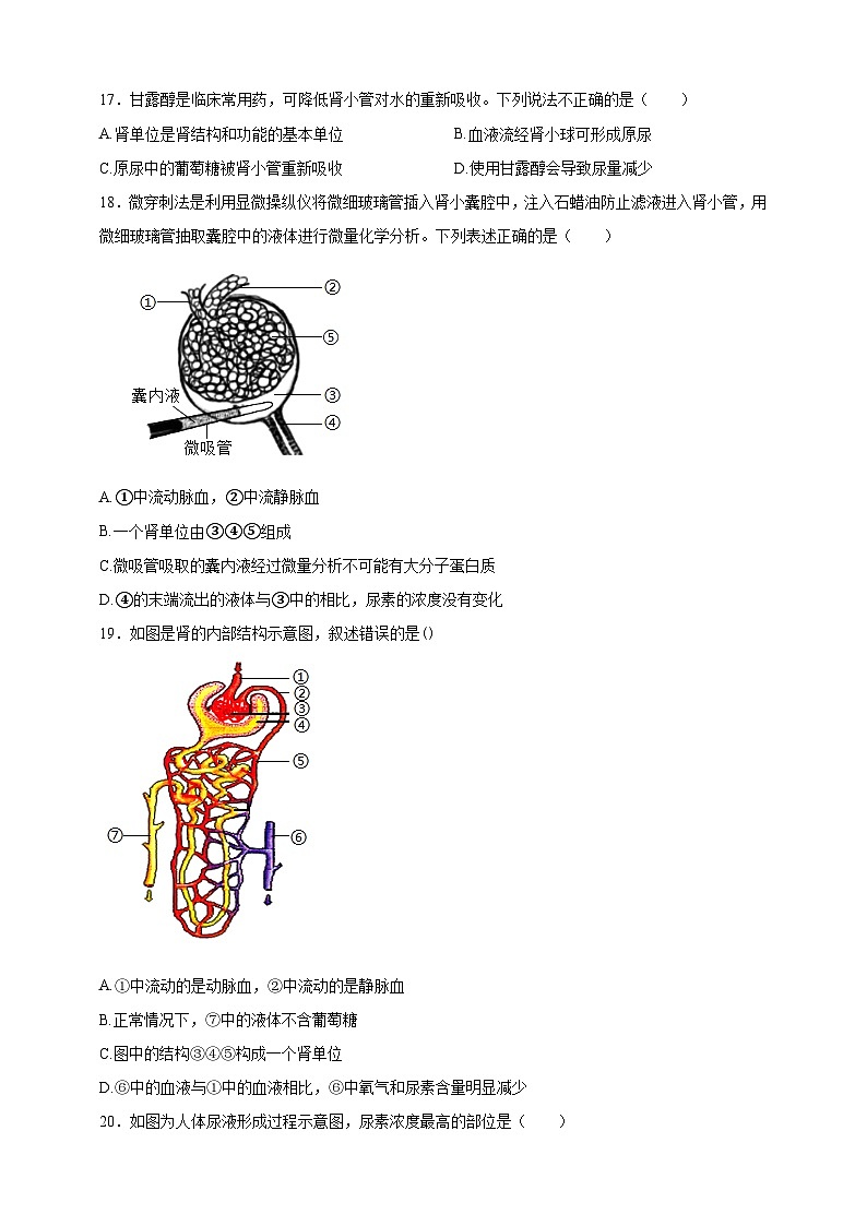 【学霸题优】4.9 人体代谢废物的排出 单元检测卷（学生版）第3页