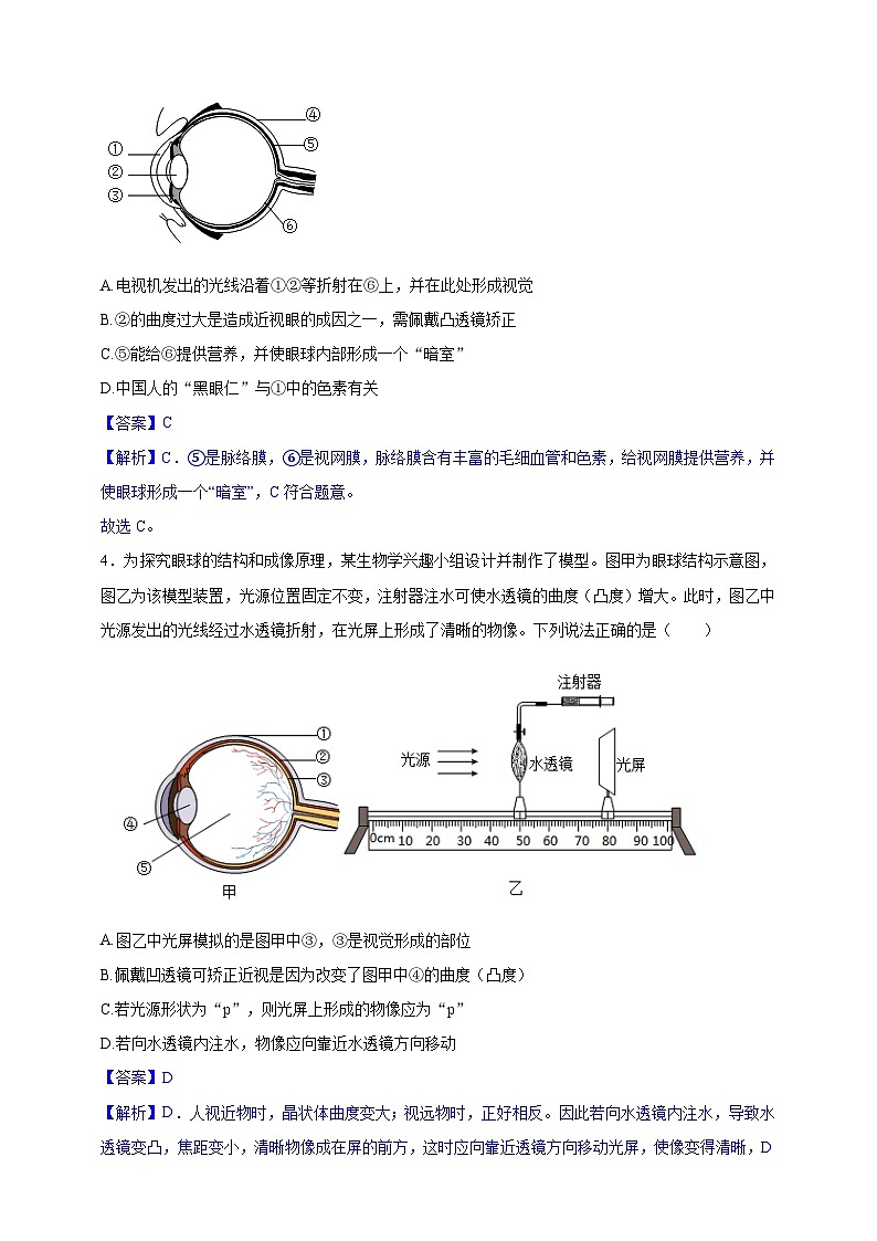 【学霸题优】4.10 人体的自我调节 单元检测卷（教师版）第2页