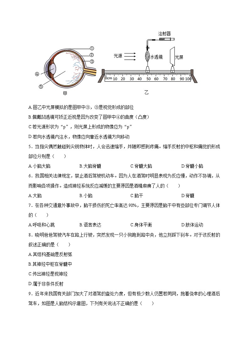 【学霸题优】4.10 人体的自我调节 单元检测卷（学生版）第2页