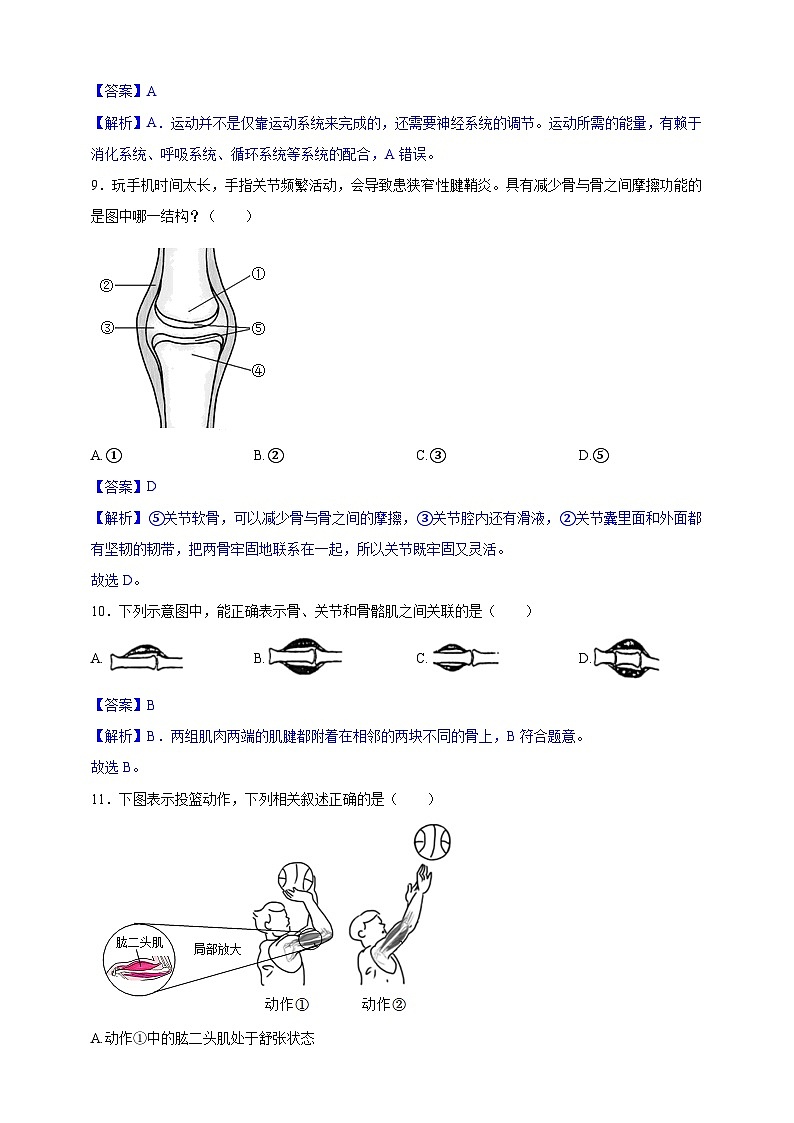 【学霸题优】4.11人体的运动 单元检测卷（教师版）第3页