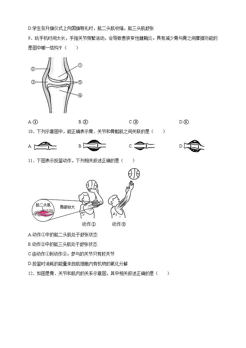 【学霸题优】4.11人体的运动 单元检测卷（学生版）第2页