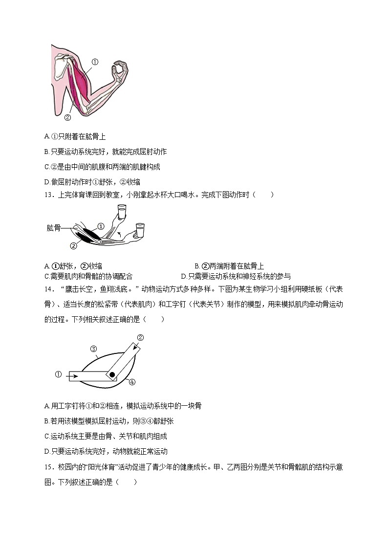 【学霸题优】4.11人体的运动 单元检测卷（学生版）第3页