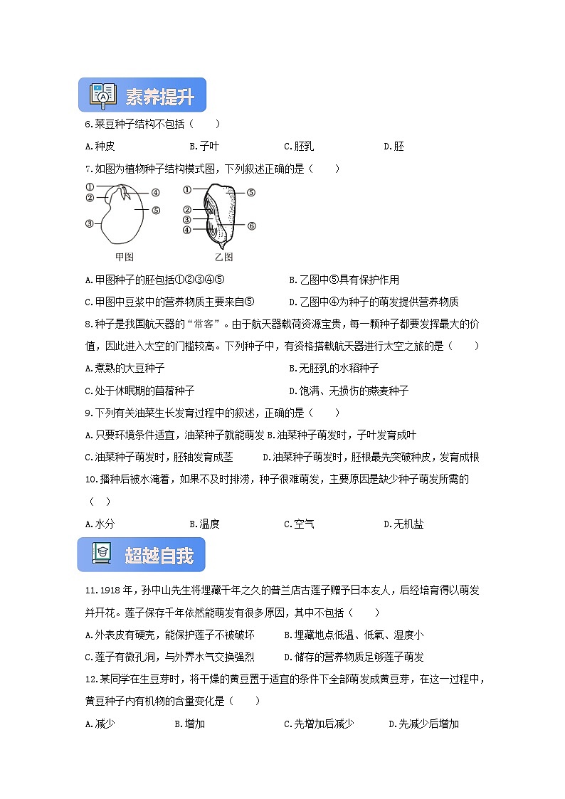 苏教版初中生物七下 4.9.1种子的萌发 分层练习（含答案）第2页