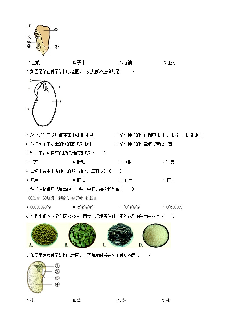 苏教版初中生物七下 4.9.1种子的萌发 导学案(含答案)第3页