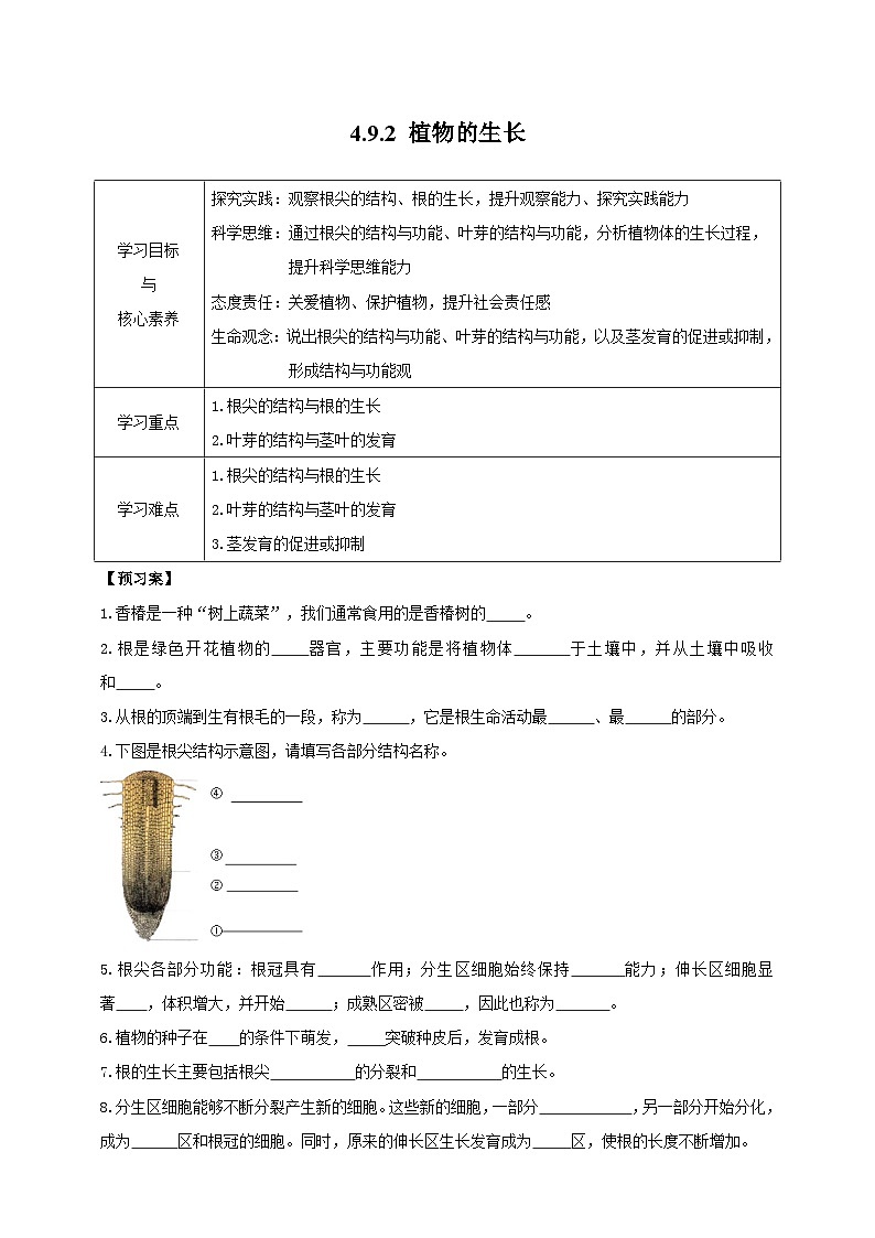 苏教版初中生物七下 4.9.2植物的生长 导学案(含答案)第1页